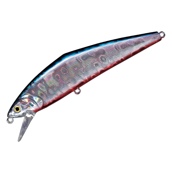 Ｄ－コンタクト１１０(４９　カタクチシェル)